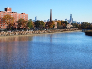 3D Chicago River ride