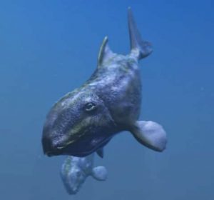 Sea creatures 3D visualization