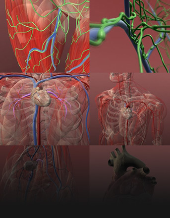 medical_visualizations